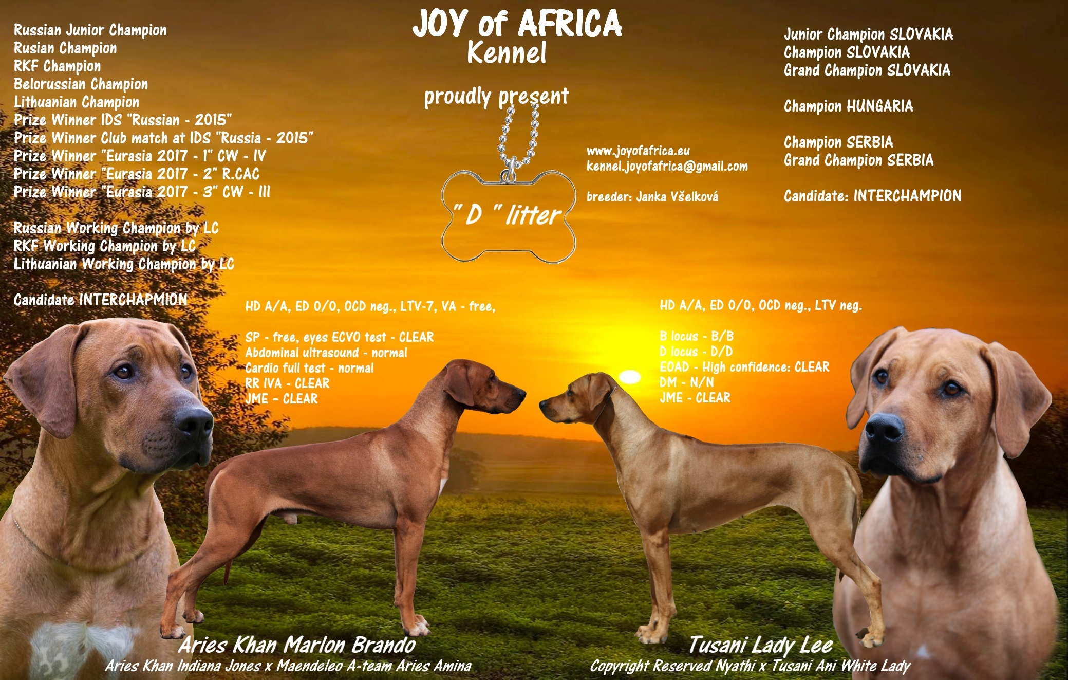 Vrh D - Joy of Africa