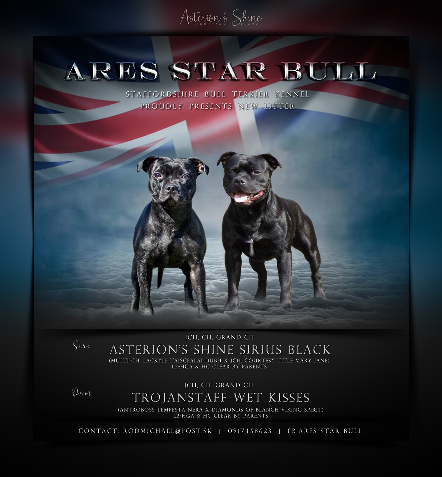 Vrh B - Ares Star Bull