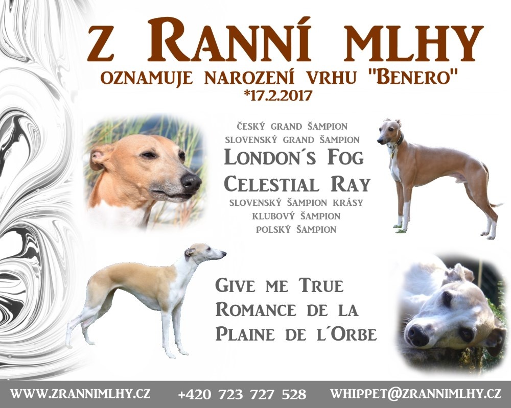 Vrh B - Z Ranní mlhy