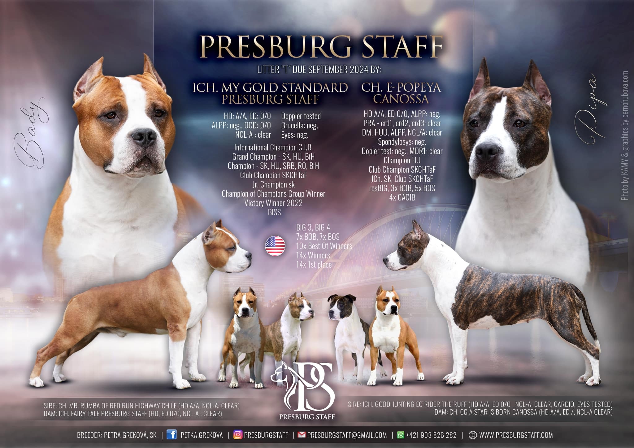 Vrh A - PRESBURG STAFF