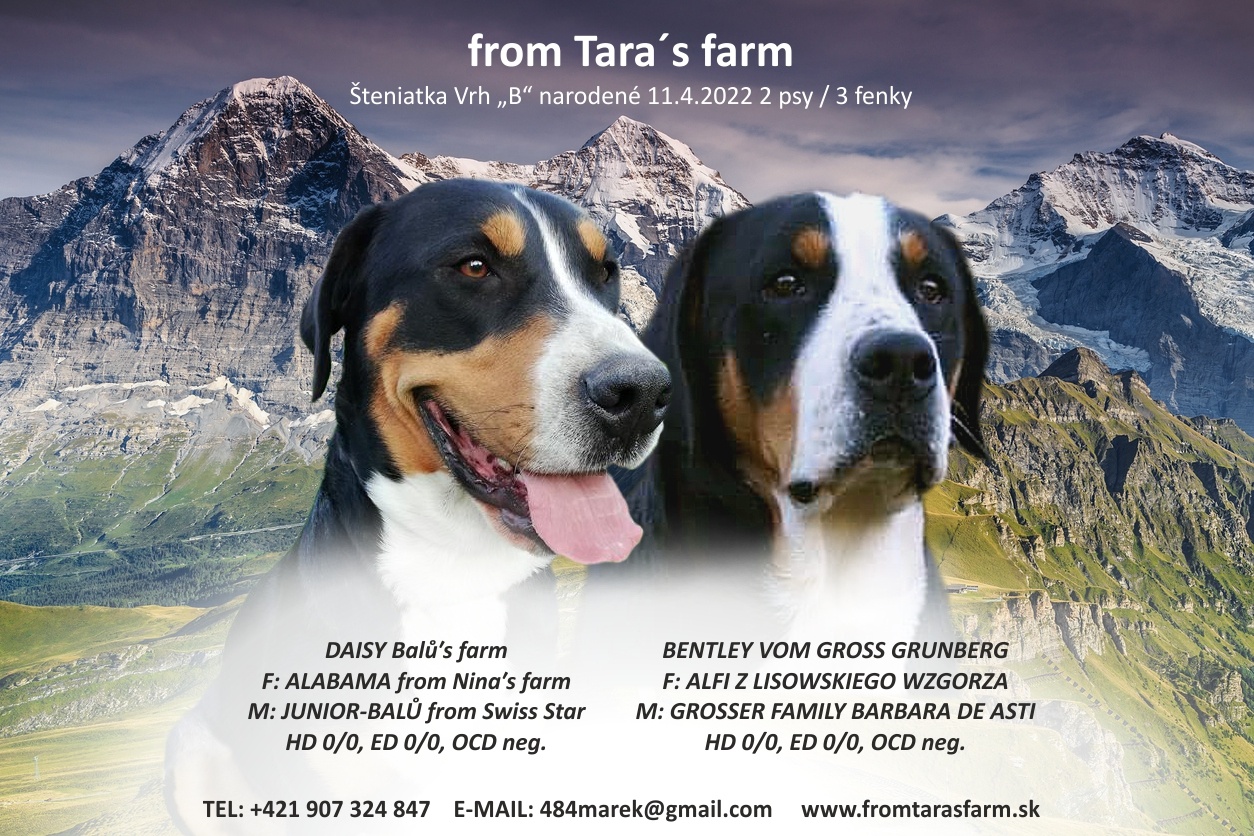 Vrh B - from Tara´s farm