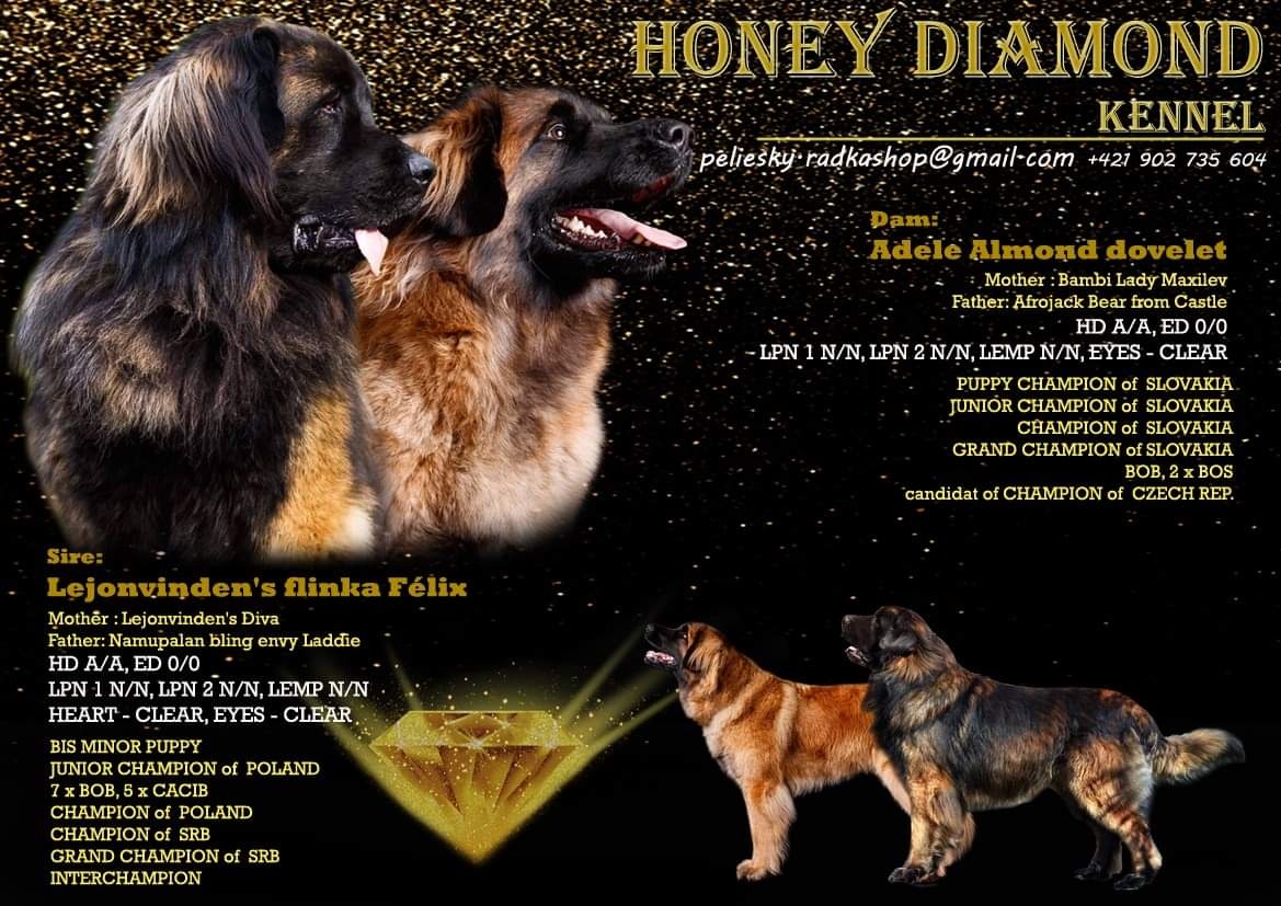 Vrh A - Honey diamond 