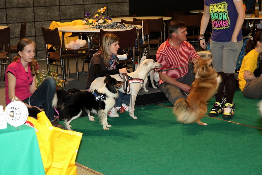 Agility team 3