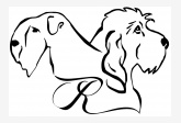 Reggaedog