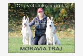 MORAVIA TRAJ