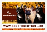 GoldForestBull