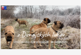 z Dunajských luhov