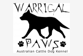 Warrigal Paws