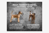 Irish Terrier Kennel Pod modrým vrchom