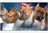 PRESBURG STAFF