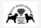 Black Water Diamond