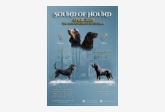 Sound Of Hound