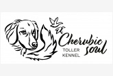 Cherubic Soul Toller Kennel