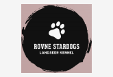 Rovne Stardogs