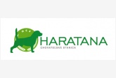 Haratana