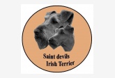 saintdevils