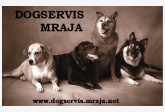 DOGSERVIS