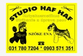 Studio HAFHAF