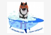 Obrázok používateľa all4dogs
