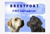 Obrázok používateľa Brestfort