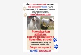 Obrázok používateľa Thorinko
