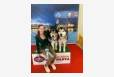 Obrázok používateľa Réka Szeifová