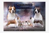 Vrh A - PRESBURG STAFF
