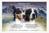 Vrh B - from Tara´s farm