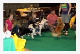 Agility team 3