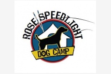 Rose Speedlight Dog Camp