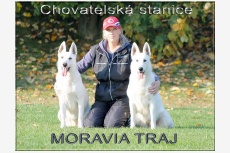 MORAVIA TRAJ