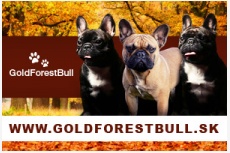 GoldForestBull