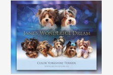 Jane&#039;s  Wonderful  Dream