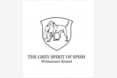 The Grey Spirit of Spish