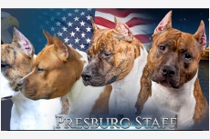 PRESBURG STAFF