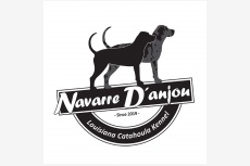 Navarre D&#039;anjou