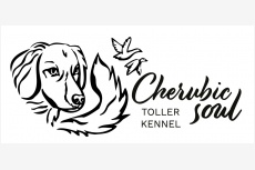Cherubic Soul Toller Kennel