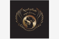 Noelydiah angels forever 