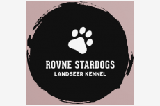 Rovne Stardogs