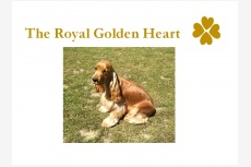 The Golden Royal Heart