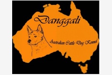 danggali