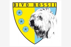 DIVO ROSSII