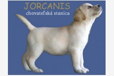 jorcanis