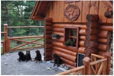 Chovateľská stanica používateľa Lab s Valley