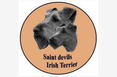 saintdevils