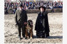 História plemena leonberger