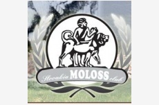 Slovakia Moloss club