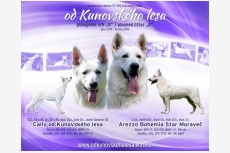 Cally od Kunovského lesa