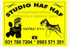 Studio HAFHAF