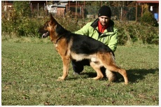 Obrázok používateľa Bonniel-dog